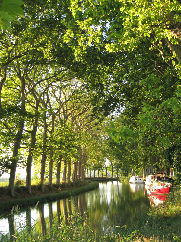 Le Canal du Midi a Toulouse